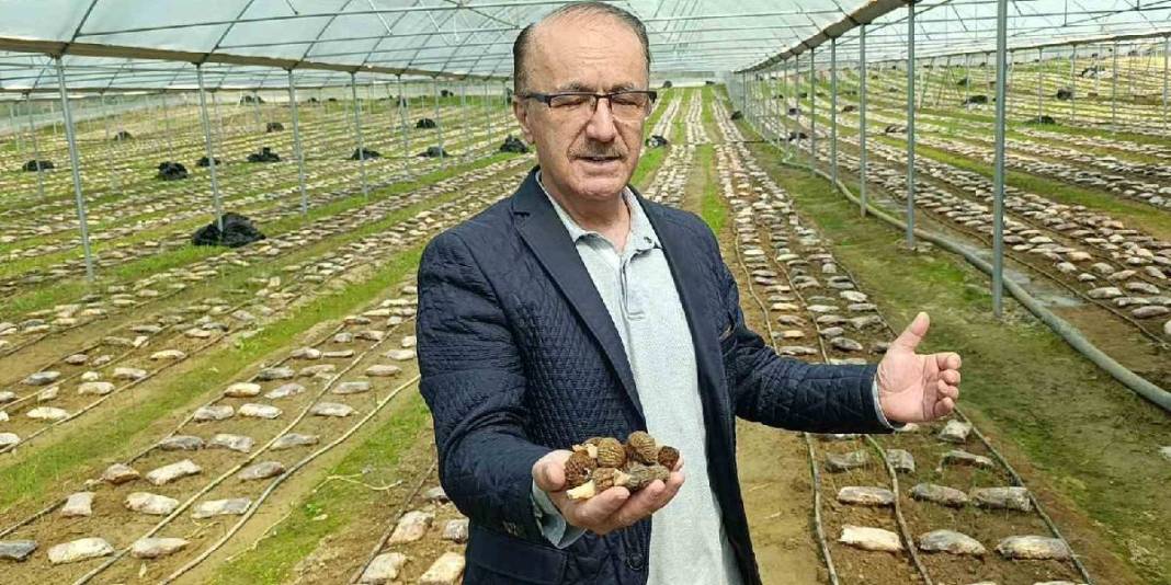 Talebi fazla ürünü seraya taşıdı: Deneme üretiminde 900 kg ürün aldı 4